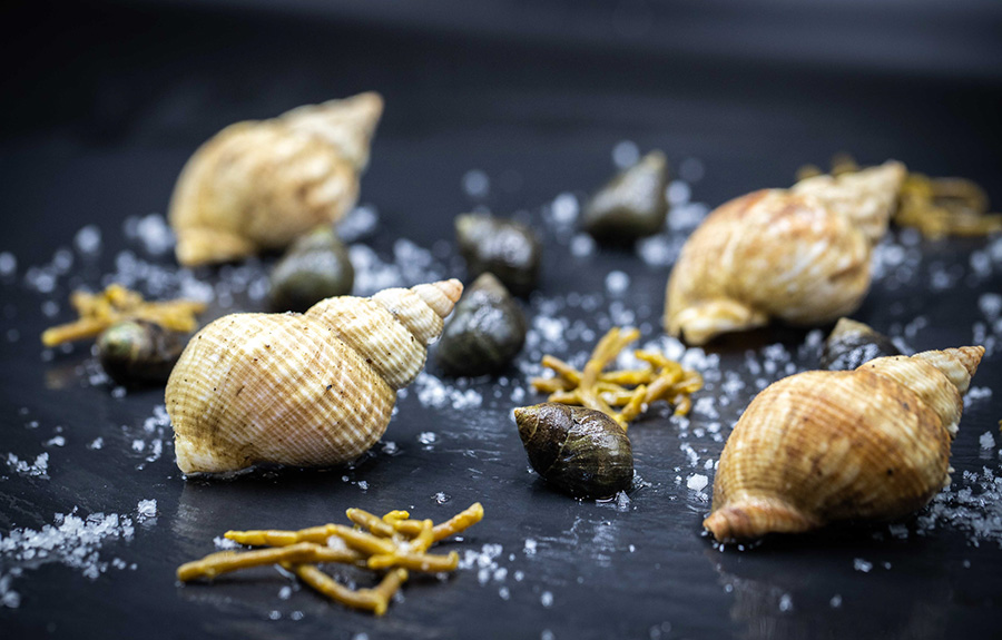 Fruits de mer, coquillages et huitres à Saint-Benoit-des-Ondes