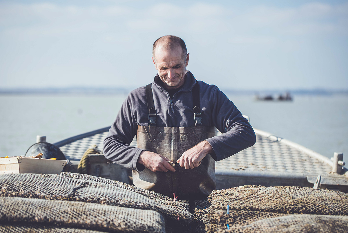 Serge Elion - Producteur d'Huitres à Saint-Benoit-des-Ondes