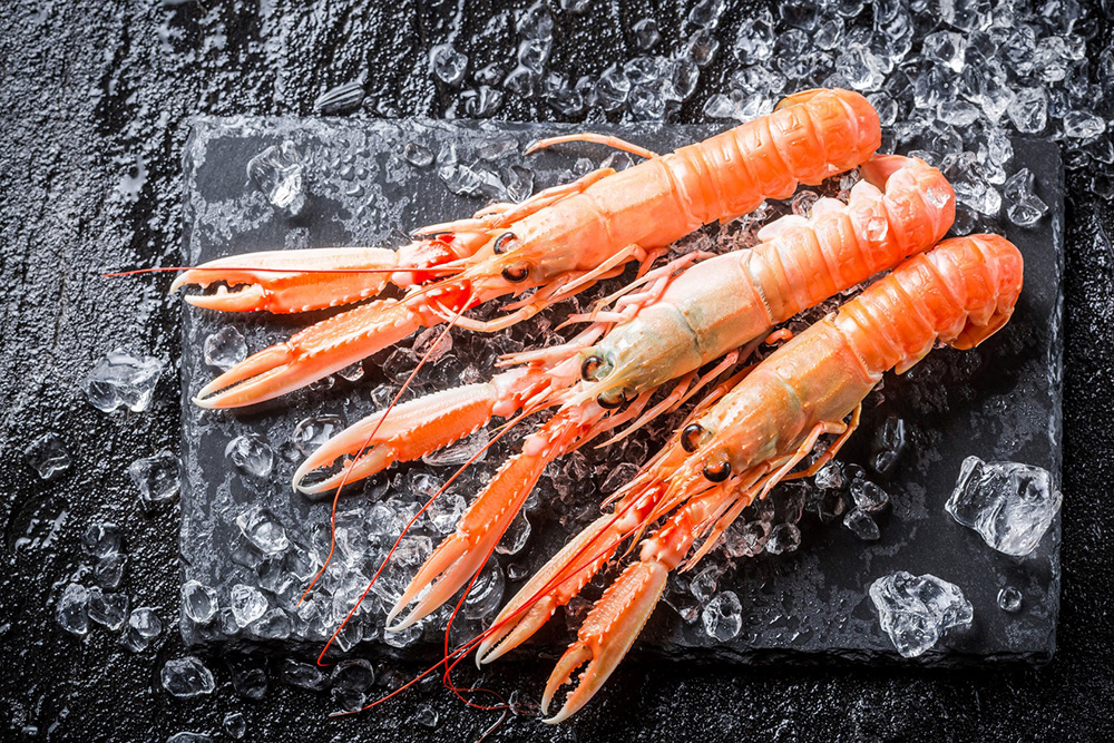 Langoustine Baie de Cancale à Saint-Benoit-des-Ondes