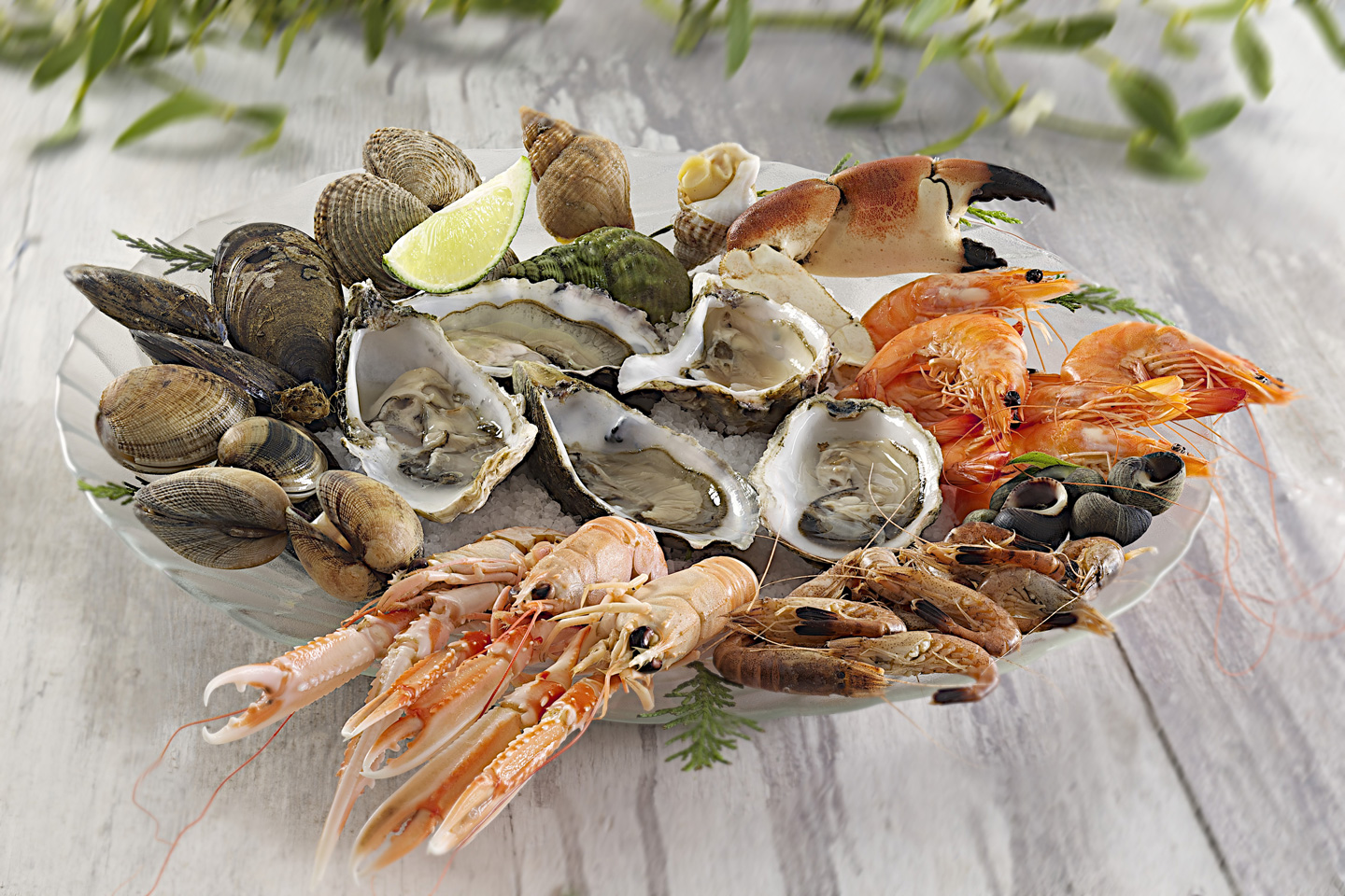 Plateaux de fruits de Mer : Saint-Benoit des Ondes