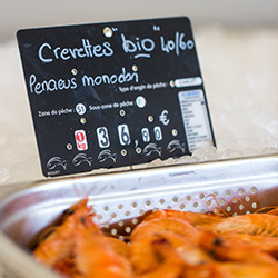 Boutique Fruits de Mer, huitres à Saint-Benoit-des-Ondes