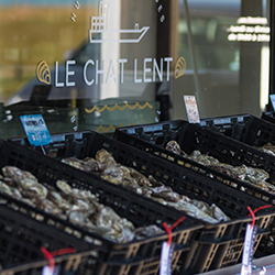 Boutique Fruits de Mer, huitres à Saint-Benoit-des-Ondes